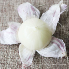 Natural net pocket China solo garlic